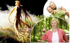 CÔNG DỤNG CỦA NHÂN SÂM ĐỐI VỚI SỨC KHỎE 